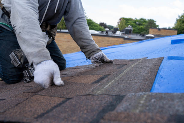 Best Roof Gutter Cleaning  in Hill City, KS