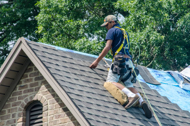 Best Tile Roofing Contractor  in Hill City, KS